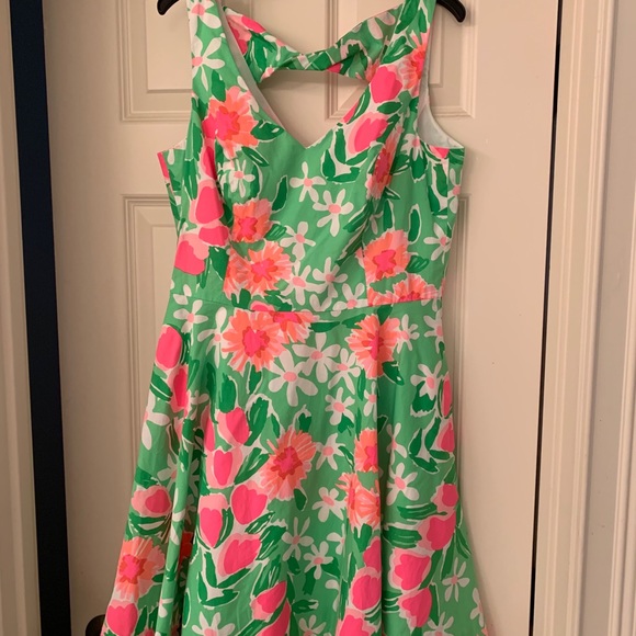Lilly Pulitzer dress - Picture 6 of 8